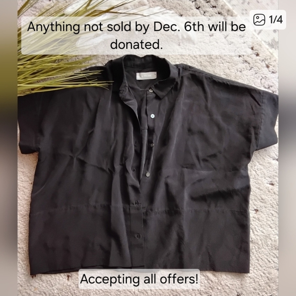 Everlane Washable 100% Silk Box Top